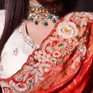 Red Banarasi Silk Saree with Intricate Zari & Embroidery Border